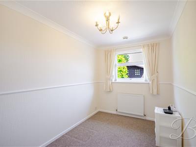 Picture 19